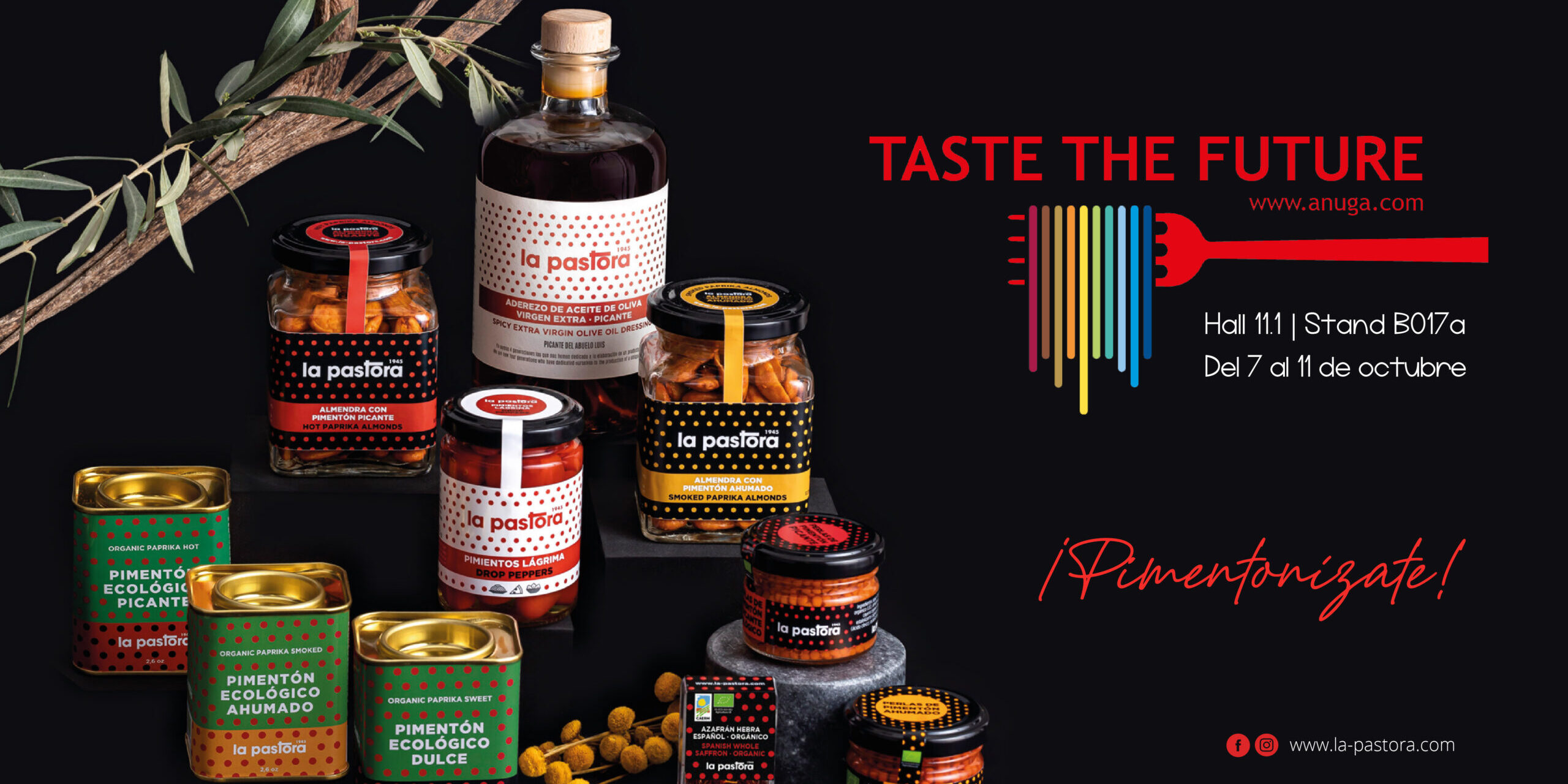 RRSS STORIES Y CUADRADO_Mesa de trabajo 1 copia 7