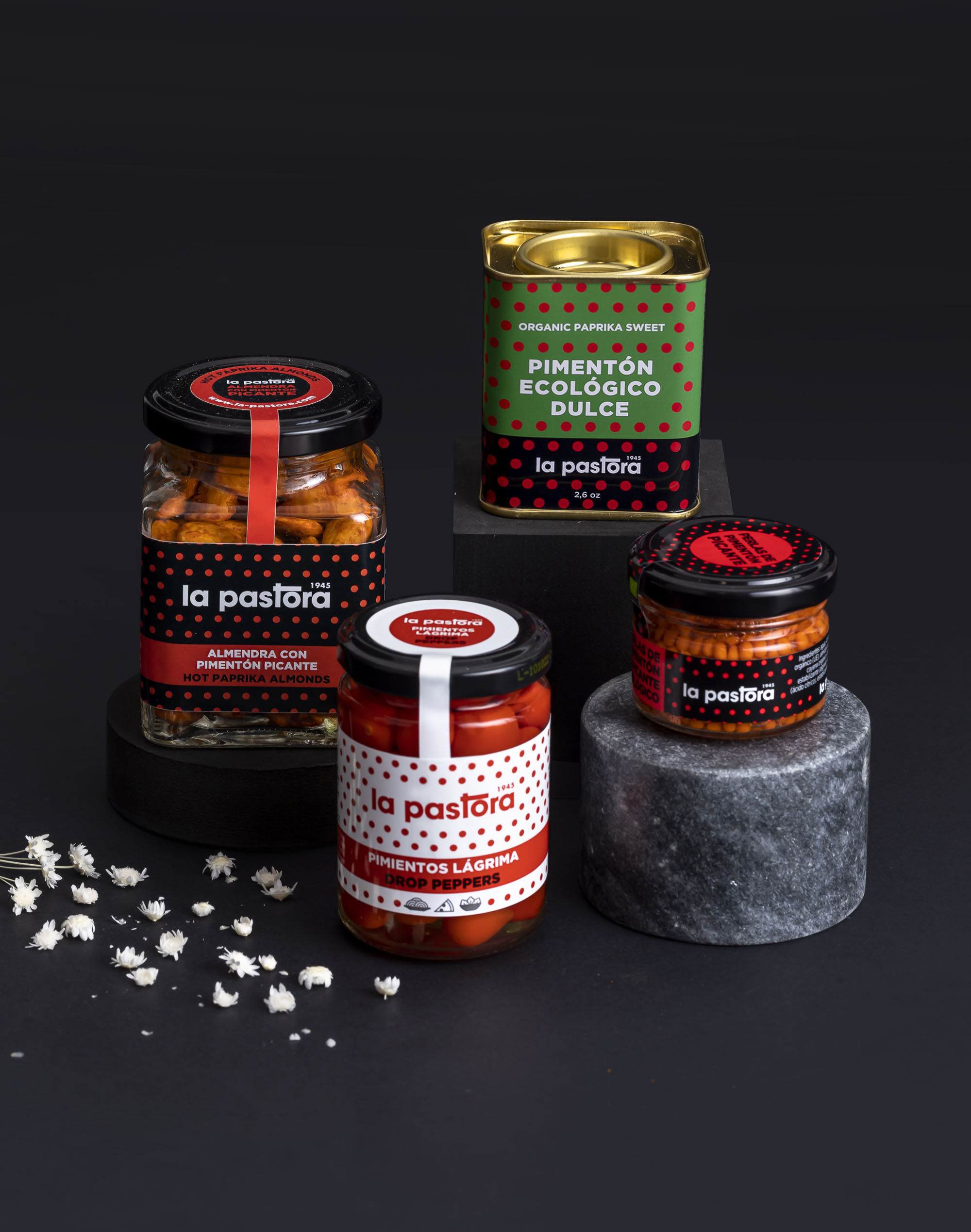 Delicious appetizers Hot